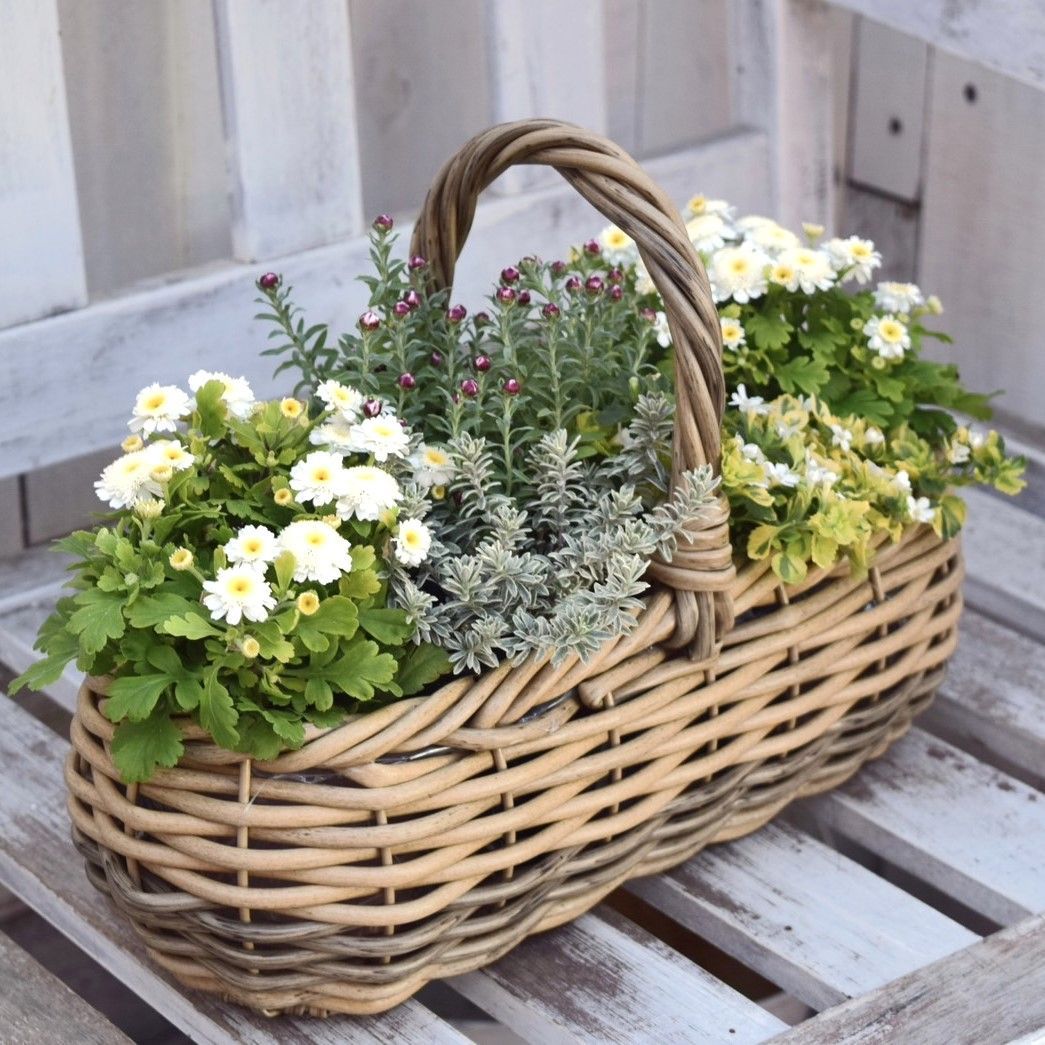 280ホーンウッドあく抜き硬質自然流木のインテリア置物