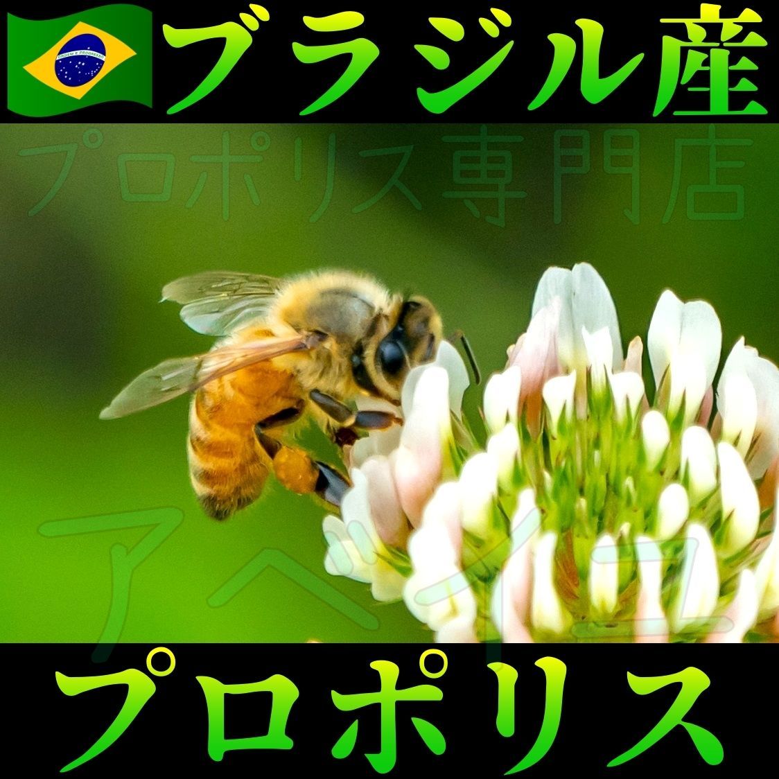  ５本セット Sunyata PONLEE グリーンプロポリス30 ml プロポリス サプリメント