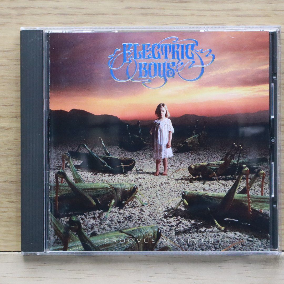栄光へのハード・ウェイ／ママズ・ボーイズ　日本盤CD(帯なし) 栄光へのハード・ウェイ／ママズ・ボーイズ 日本盤CD(帯なし