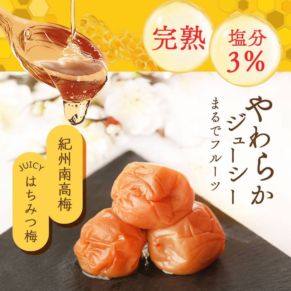 ふるさと 納税 梅干し ランキング
