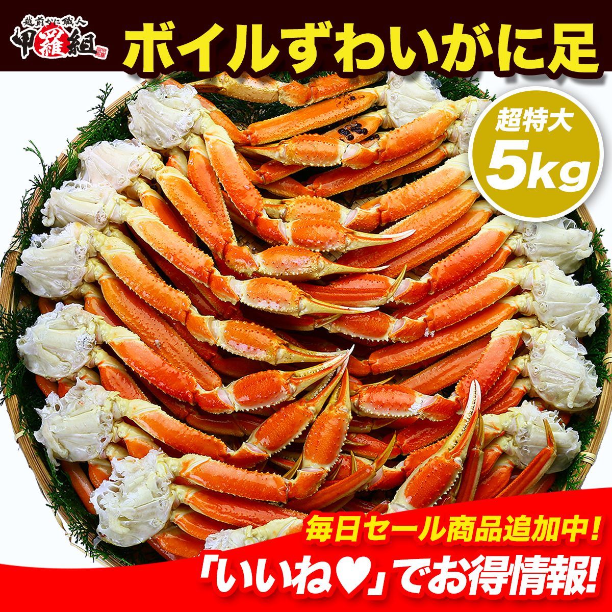 【業務用/産地箱】超特大ボイルずわいがに足5kg 5L～4Lサイズ/約14肩入り【甲羅組】