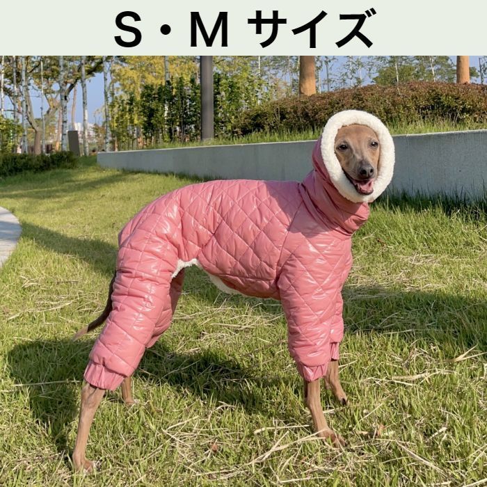 WIND AND SEA DOG TEE グレー2XL WIND AND SEA(ウィンダンシー) | RINKAN ONLINE WIND AND SEA DOG TEE