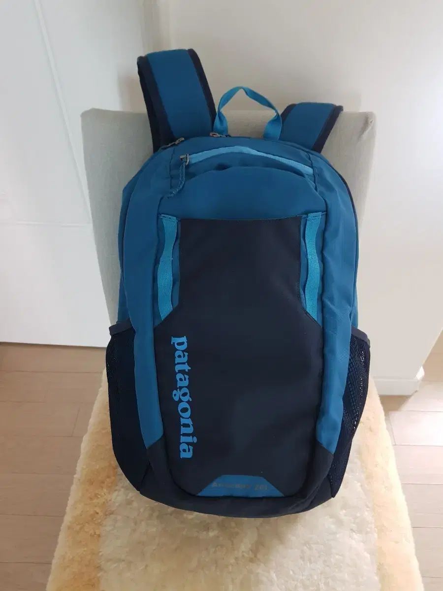 正規品 patagonia パタゴニア 収納力 快適な着用感 20L バックパック ユニセックス