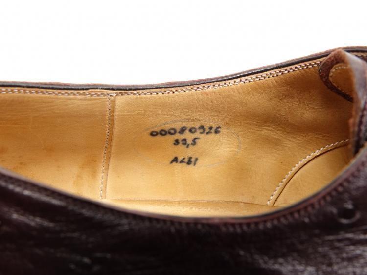 オーストリッチ