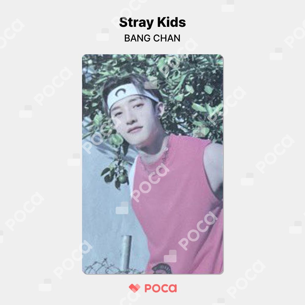stray kids MAXIDENT soundwave ラキドロ　バンチャン Stray Kids MAXIDENT soundwave バンチャン - メルカリ