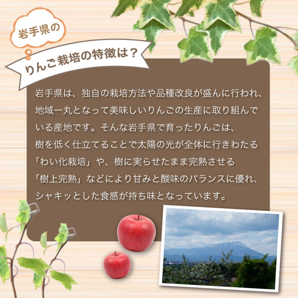のサムネイル
