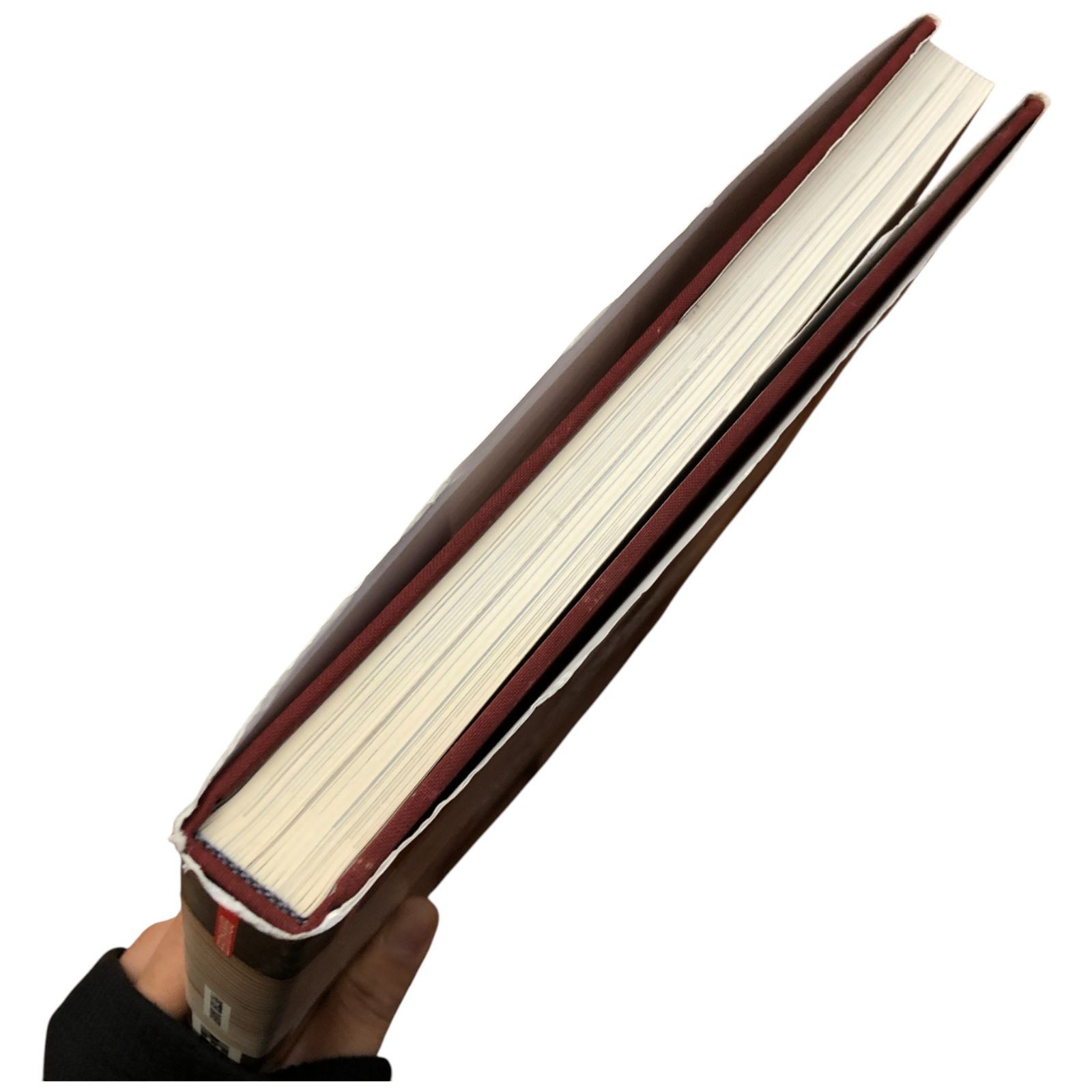 Architecture Peter Davey Riitta Nikula エッセイ Birkhauser 2011 建築 ワークショップ 北欧建築 現代建築 建築設計 フィンランド建築 都市計画 建築評論 空間デザイン 住宅建築 ee18ろynm1