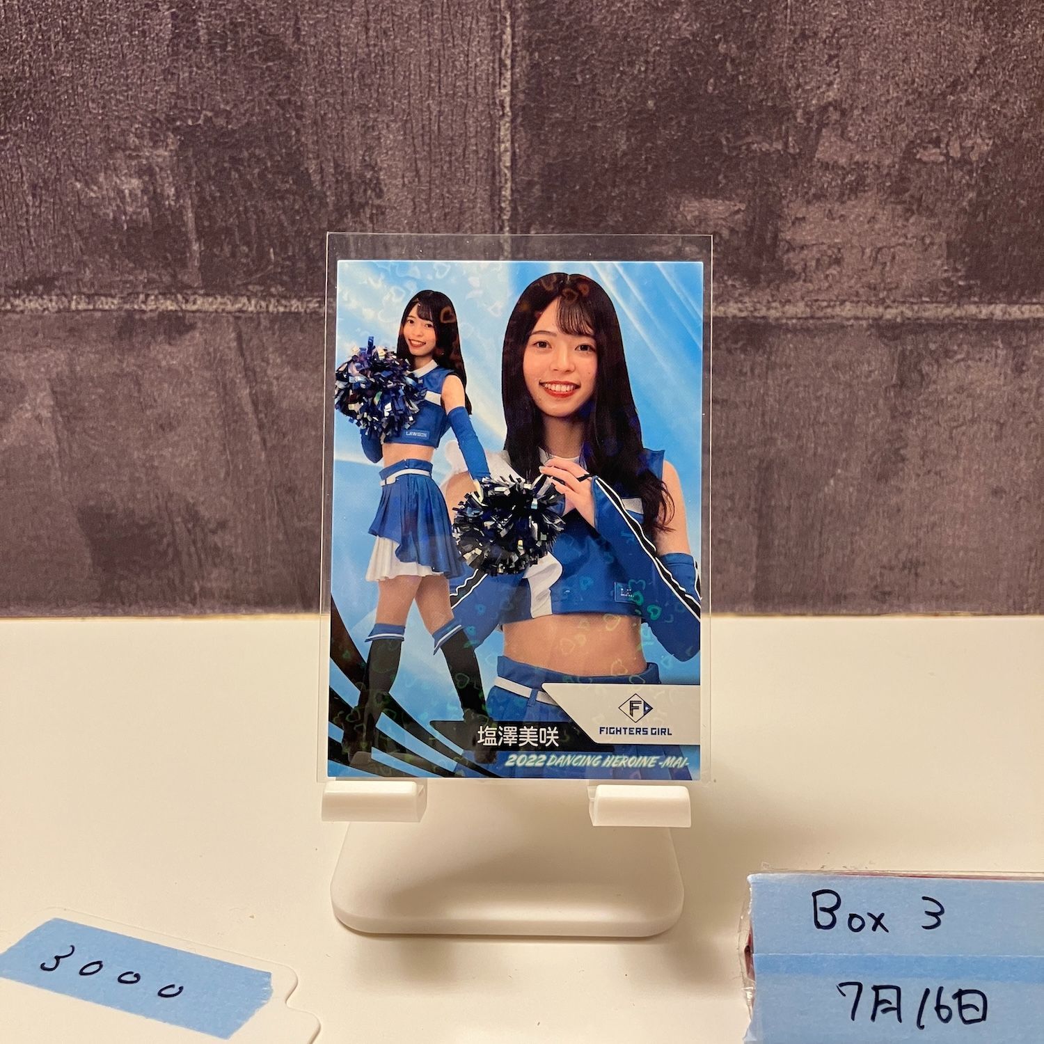 驚きの破格値，新品 塩澤美咲(FIGHTERS GIRL/日本ハム)【 BBM プロ野球
