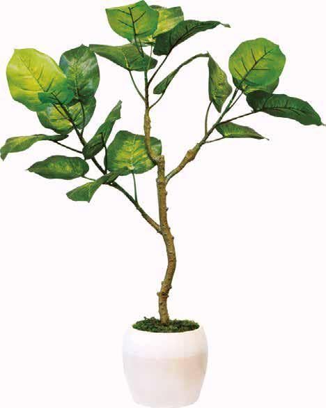 Style ウンベラータ ケーアイジャパン Kijapan インテリアグリーン 大きい 造花 観葉植物 光触媒 おしゃれ ウンベラータ 75cm 167853