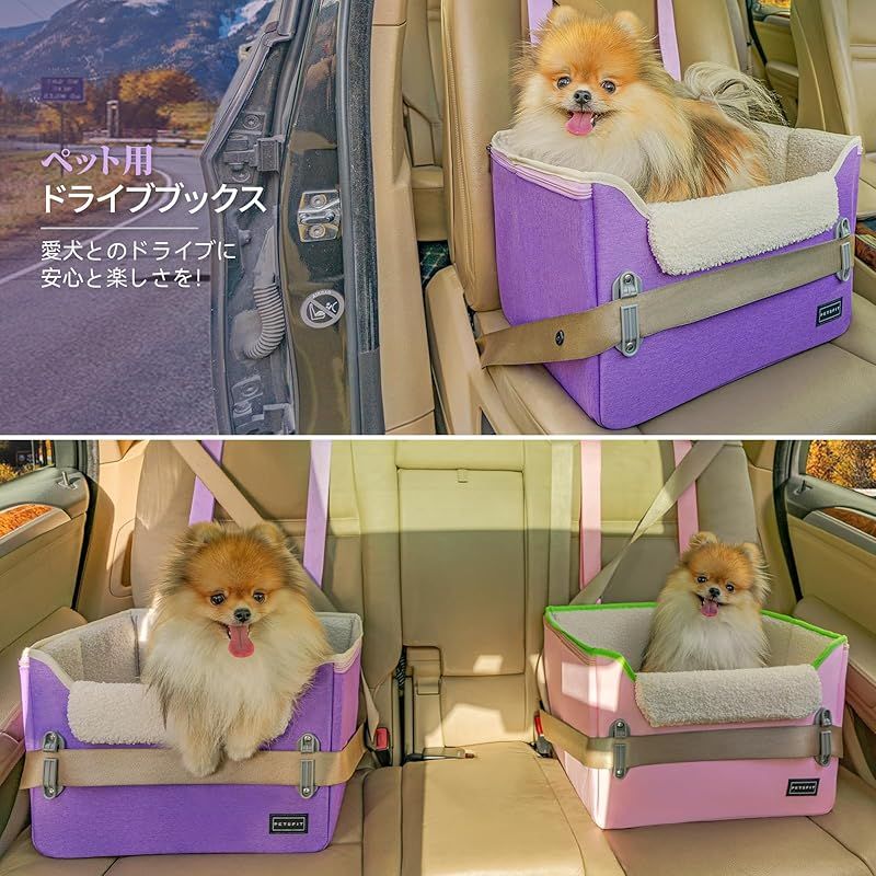 コンパクト