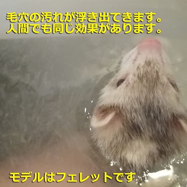 森鉄工