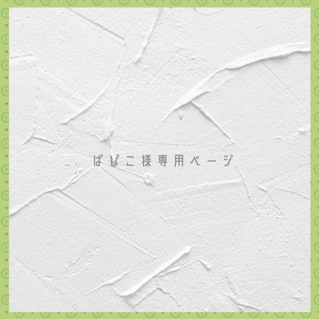 【在庫処分】ぱぴこ様専用ページ