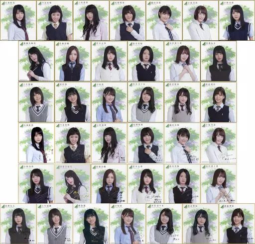 紙製品 女性 全38種セット 欅坂46×ローソン HMV ミニ色紙