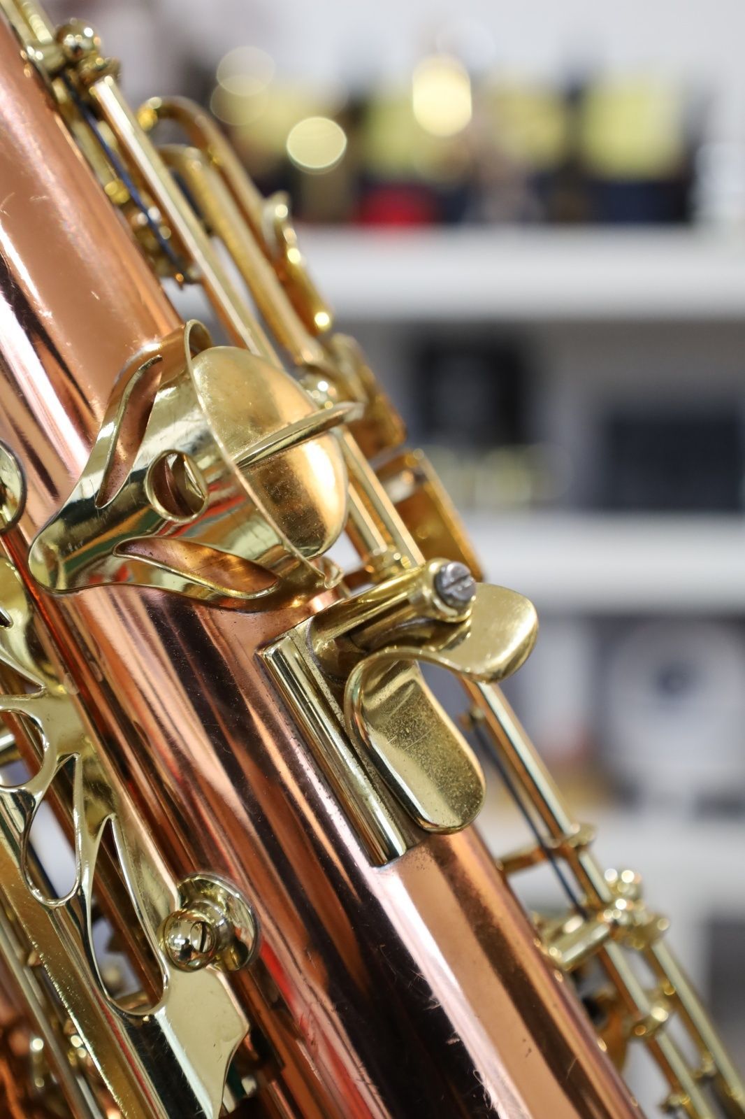 Buffet Crampon S1 Prestige クランポン プレステージュ アルト