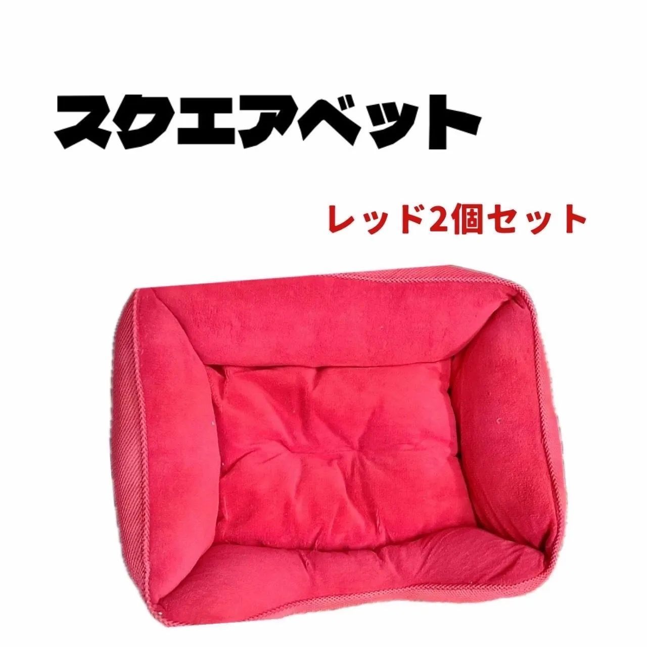 内田鋼一 パスタスケール焼物