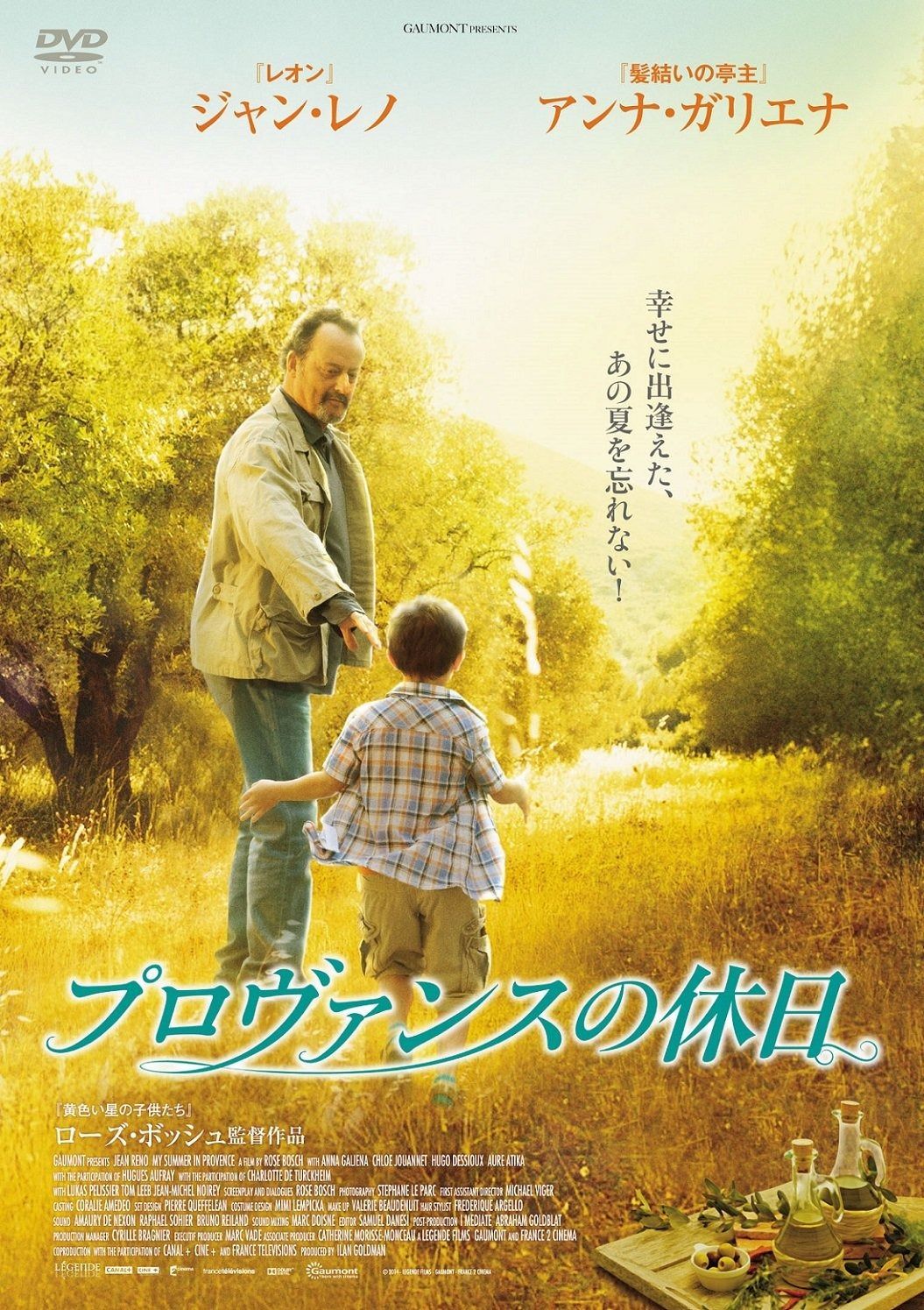 プロヴァンスの休日 DVD