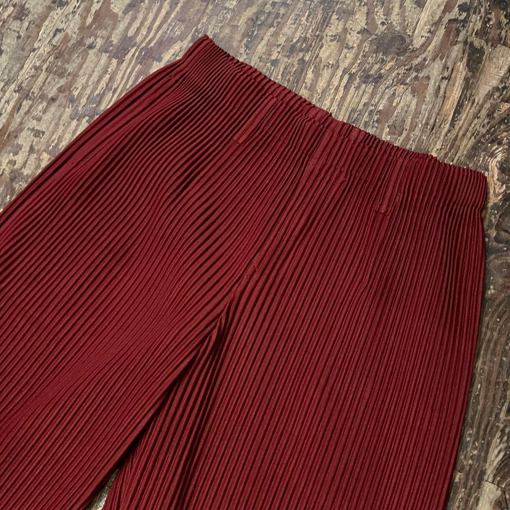 HOMME PLISSE ISSEY MIYAKE オムプリッセイッセイミヤケ 24AW TAILORED