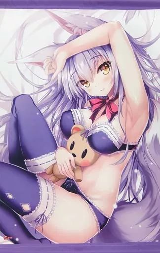 【中古】タペストリー [単品] 立羽イラスト WスエードB2タペストリー 「立羽 2020年度 軸中心派アーティストカレンダー＆WスエードB2タペストリーセット 特別版」