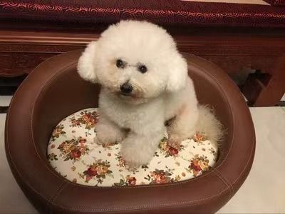 おしゃれ モダン