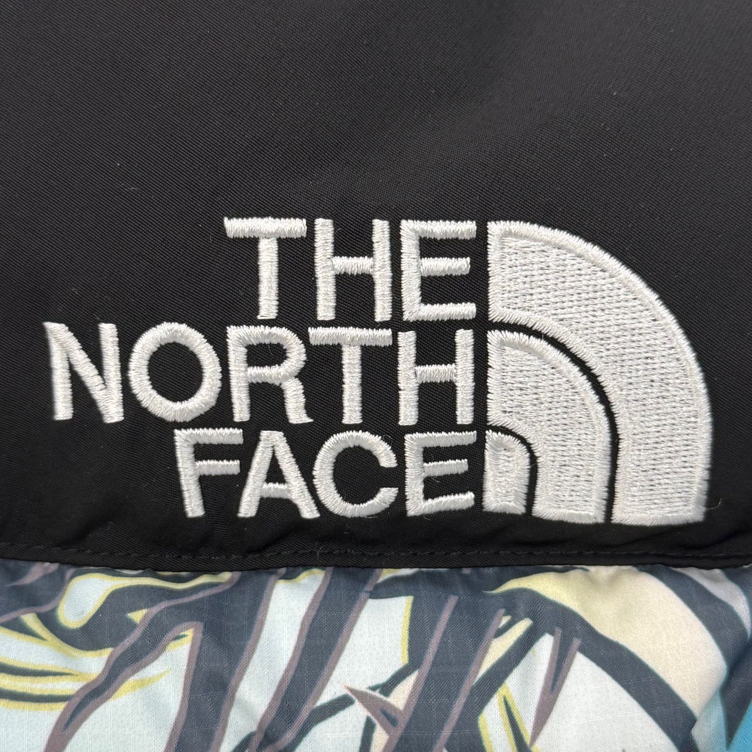 国内正規 Supreme THE NORTH FACE 22AW 700-Fill Down Parka