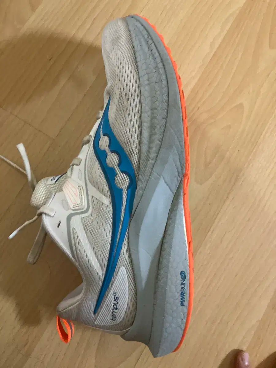 サッカニー テンパス