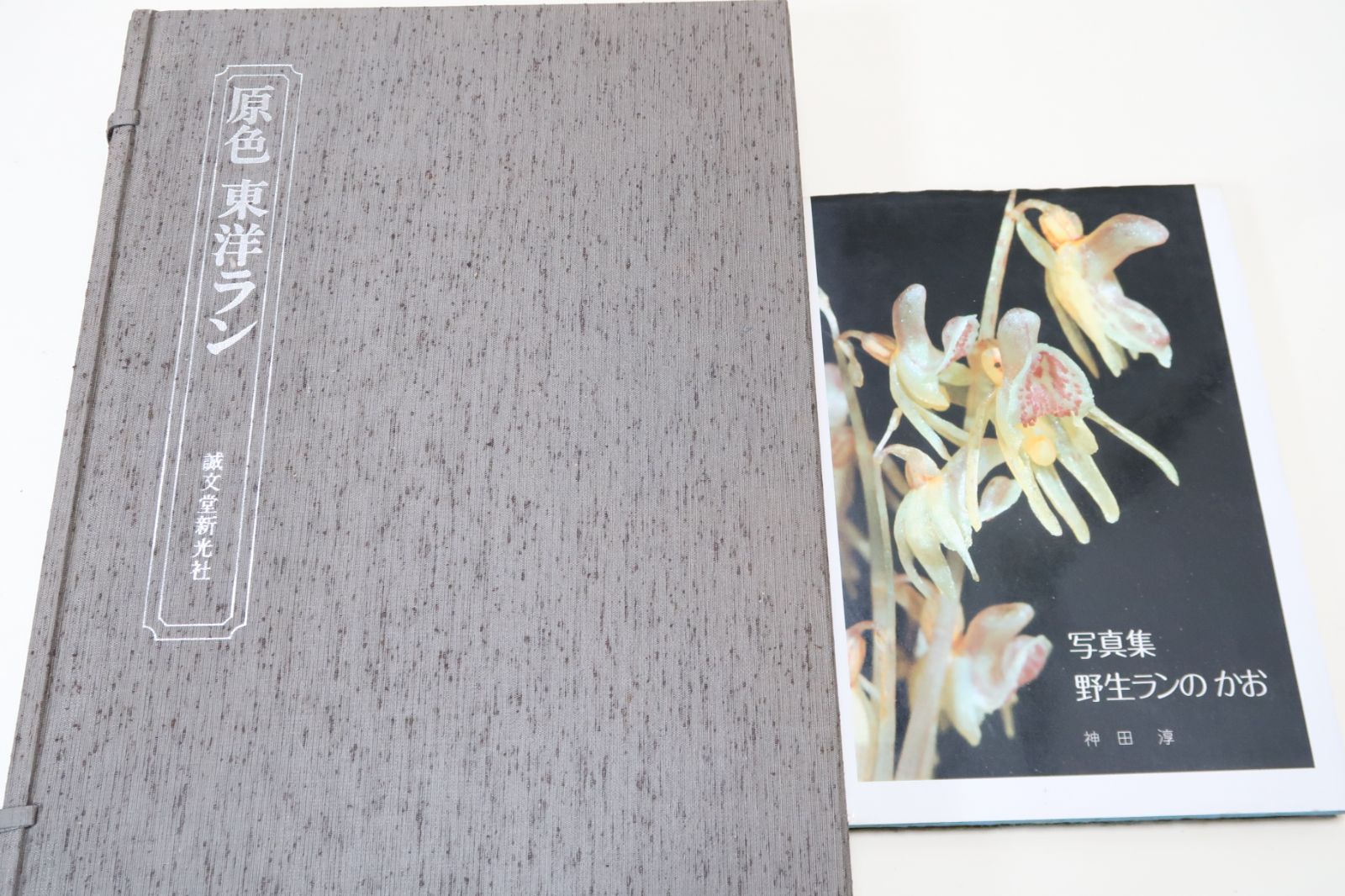 ランの本2冊/原色東洋ラン・定価25000円/写真集・野生ランのかお・神田