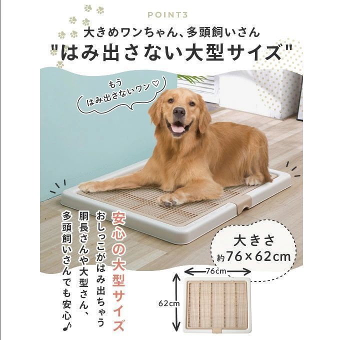 小型犬 中型犬