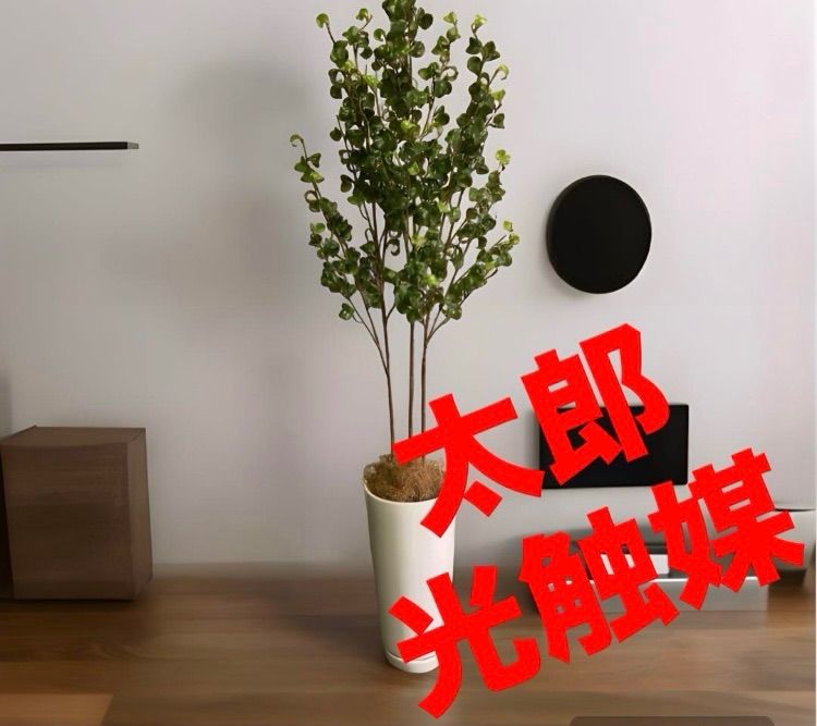 光触媒 人工観葉植物 ウォールグリーン フェイクグリーン 壁掛け12020