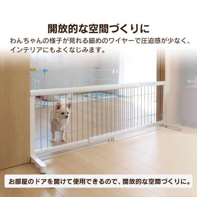 犬 安全