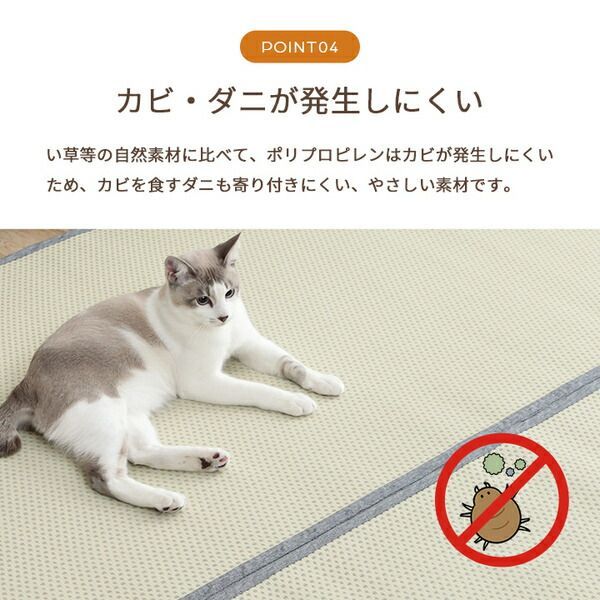 カビ発生しにくい お手入れ簡単