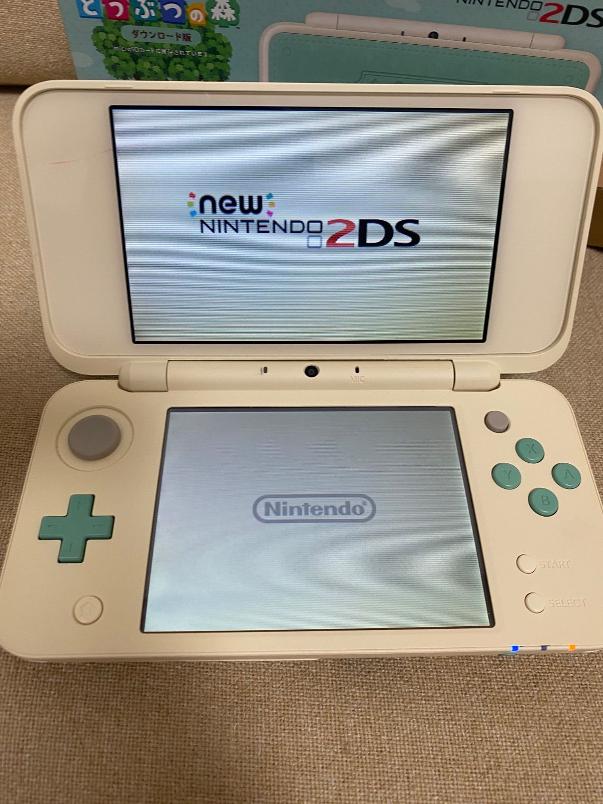 とびだせ どうぶつの森