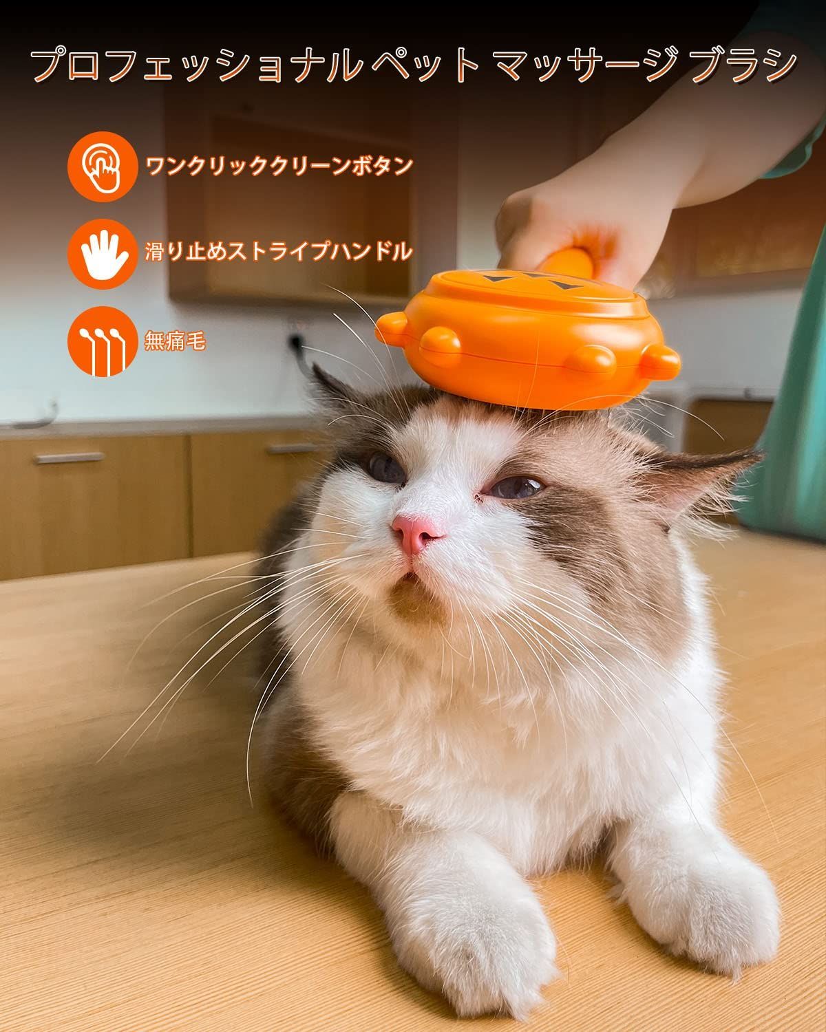 ワンプッシュ式