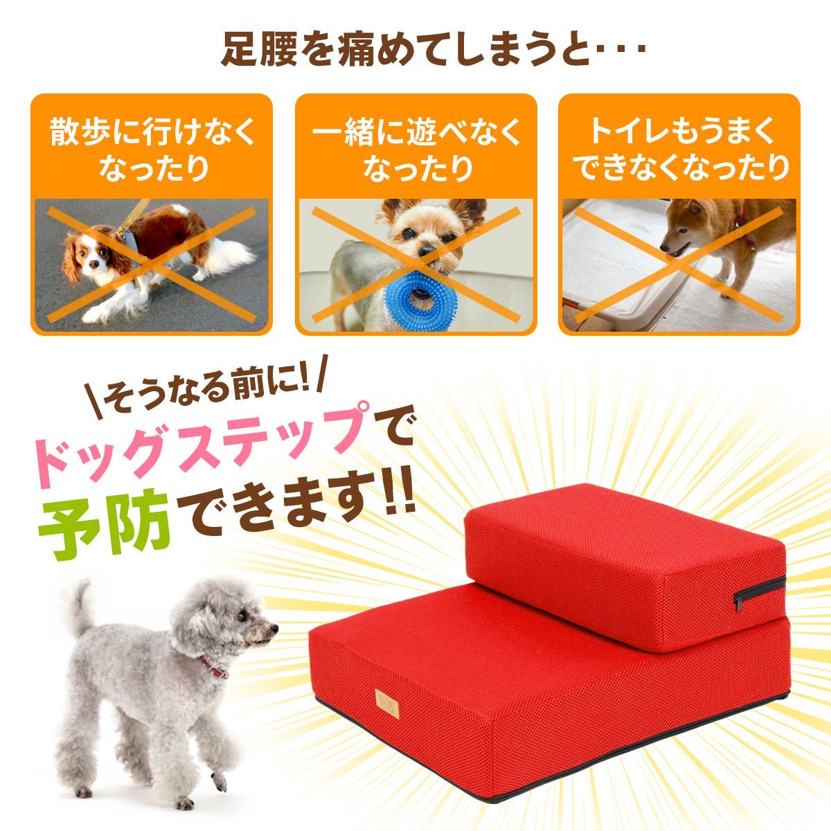 犬 階段