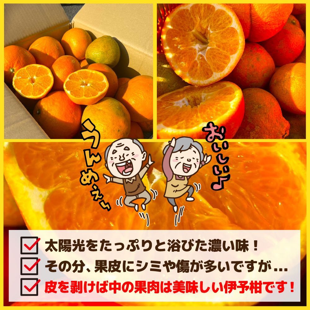 のサムネイル