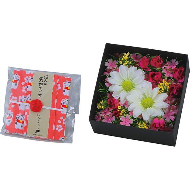 植物図鑑 フローラ : gardening