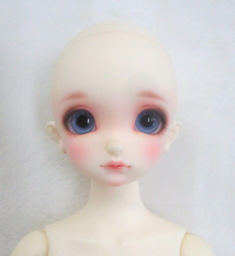 ボークス