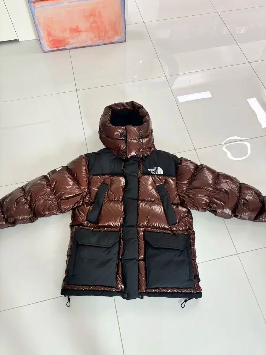 Supreme(シュプリーム) THE NORTH FACE(ザノースフェイス) ダウン