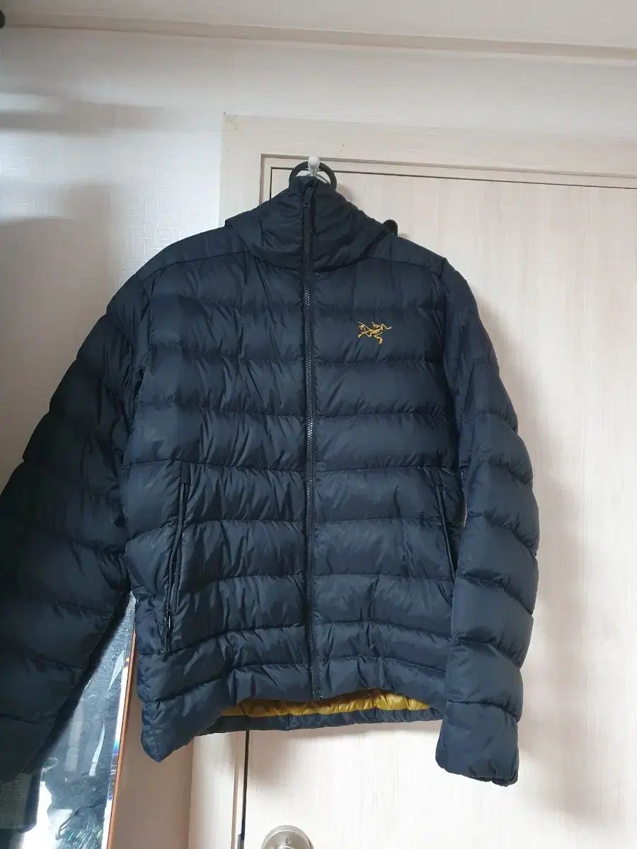 M ARC TERYX アークテリクス トリウム AR フーディー パーカー 24 K ゴールド 軽量ダウン