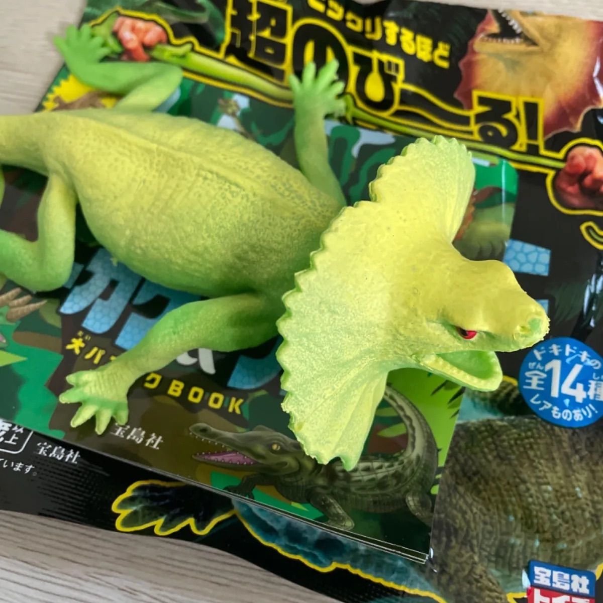 変形爬虫類 リアル トカゲ&ワニ エリマキトカゲ - メルカリ