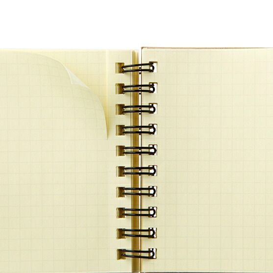 まとめ デルフォニックス ロルバーンノート 方眼 ミニ ゴールド 500060-705 ×20セット