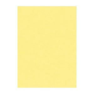 リンテック ニュー Ｒ 4 NCR-101 クリーム