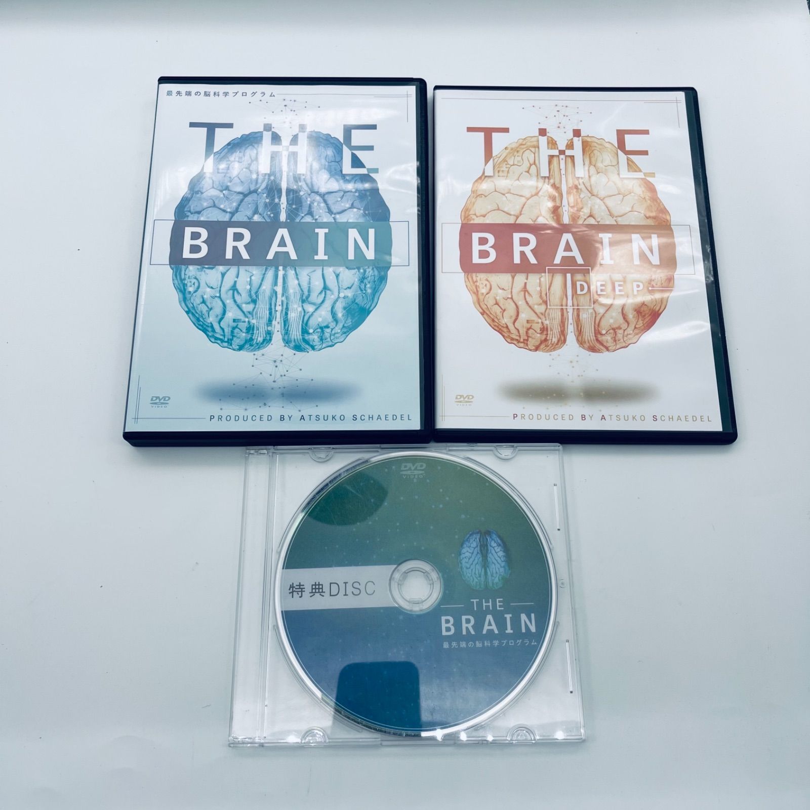 シェイデル敦子の「THE BRAIN 最先端の脳科学プログラム」 - DVD