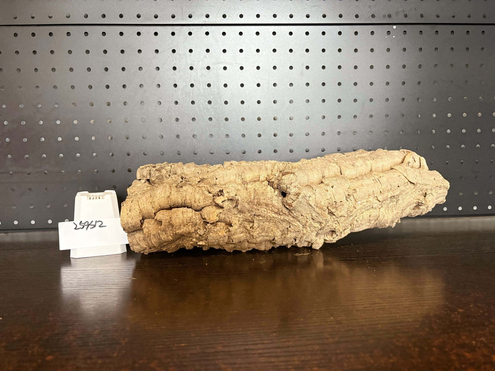 キャノンコルク コルク樹皮