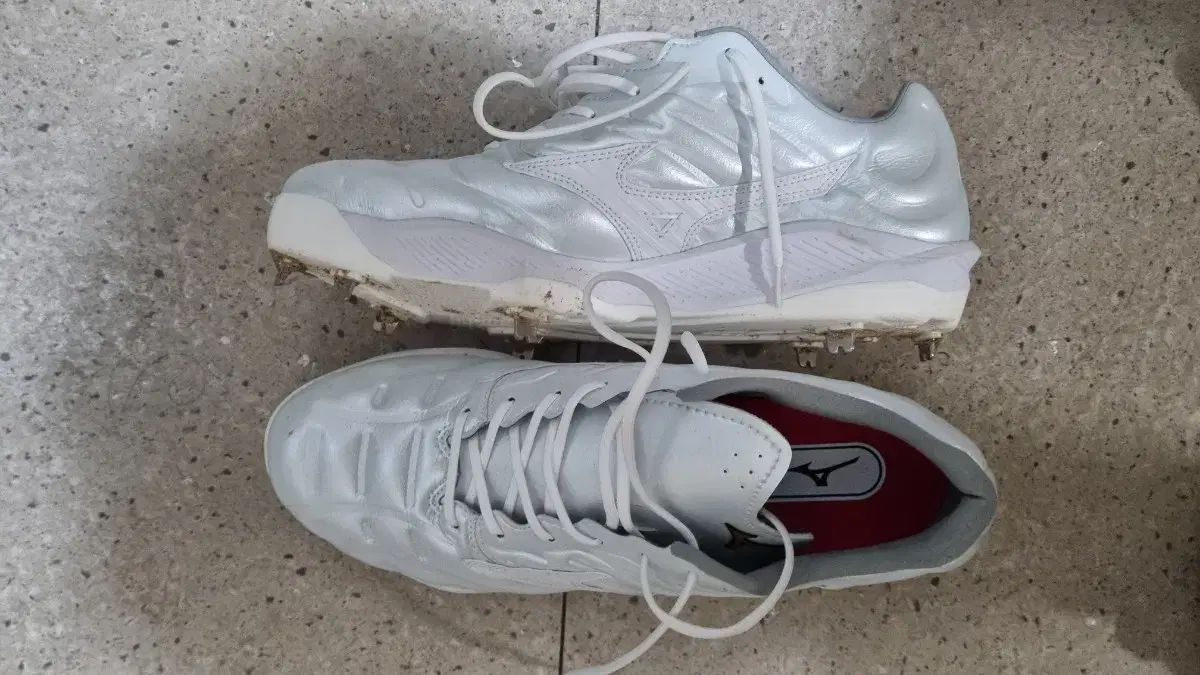  ミズノ プロ クッション レボ 265 その他 シューズ