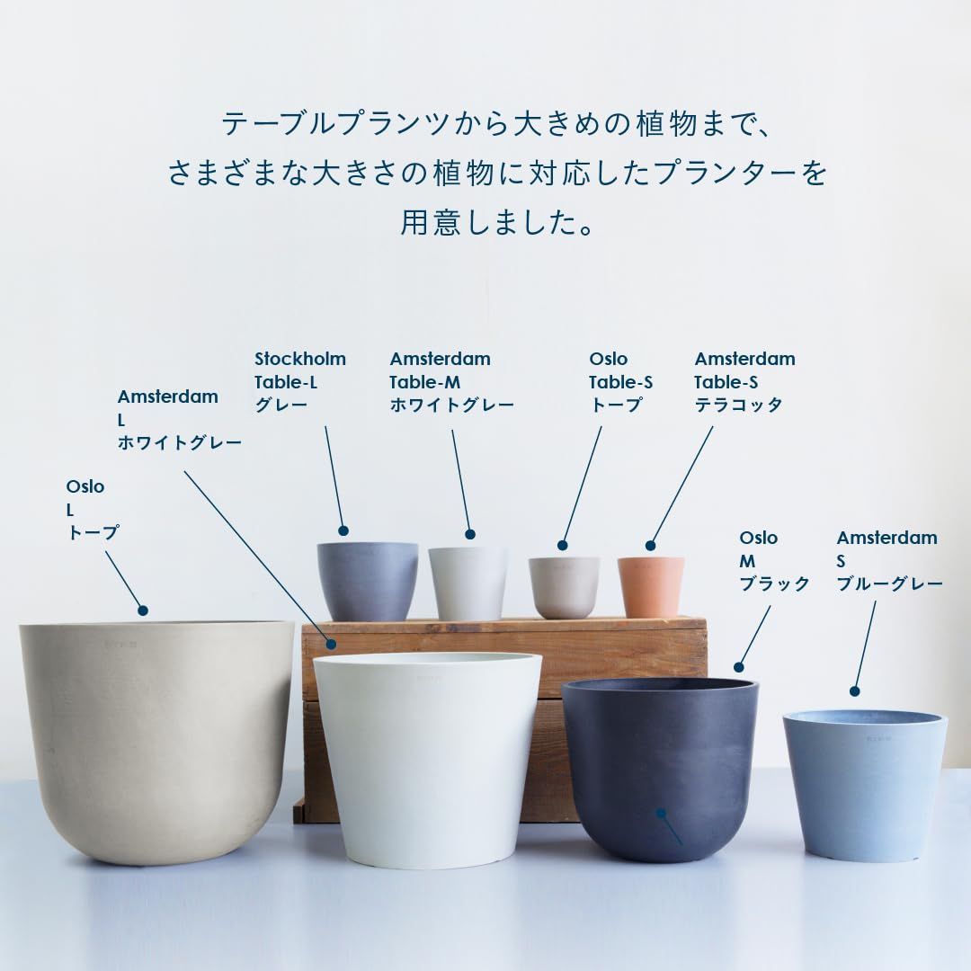 Amsterdam ベージュ