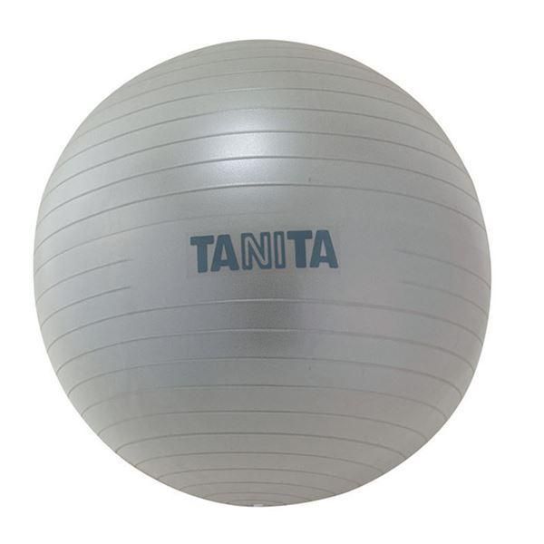 ジムボール TS-962-SV〔代引不可〕