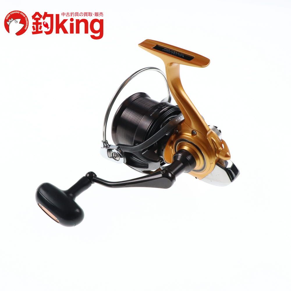 ダイワ 14 キャスティズム 25 QD 06PE サーフベイシア 25QD ダイワ 14 キャスティズム 25 QD 06PE サーフベイシア 25QD