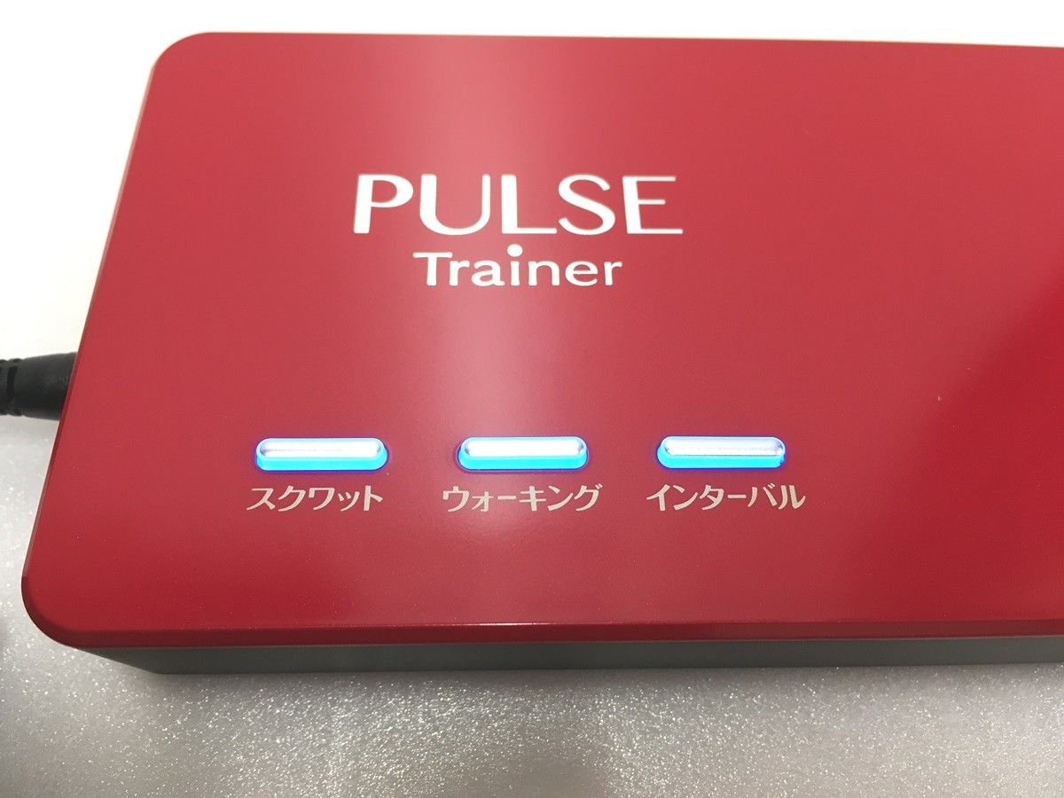 送料無料※ ホーマーイオン パルストレーナー PT-Ⅱ PT-2 3DEMS