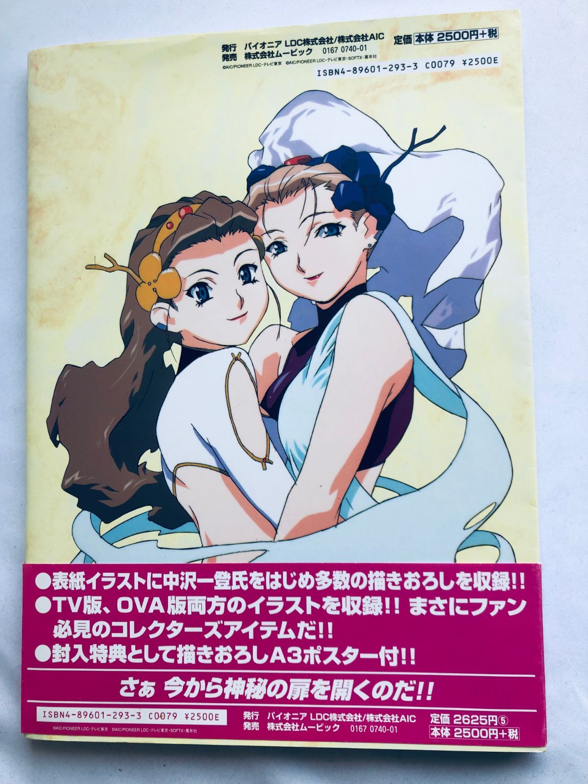 チラシ ハガキ