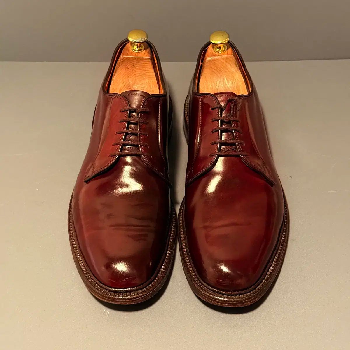 2025夏季】 11 5C ALDEN(オールデン) 990 カラー 8 コードバン ダービー